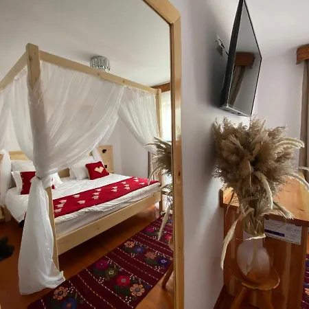 Guest house Paradisul 4*