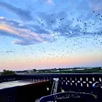 Agropensiunea Paradisul جوريلوفكا