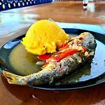 Agropensiunea Paradisul بيت ضيافة