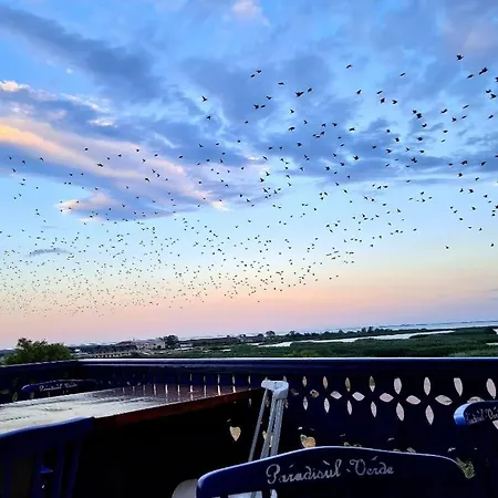 Paradisul جوريلوفكا