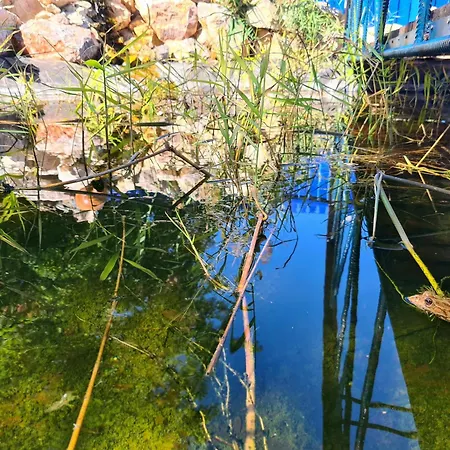 Paradisul بيت ضيافة جوريلوفكا