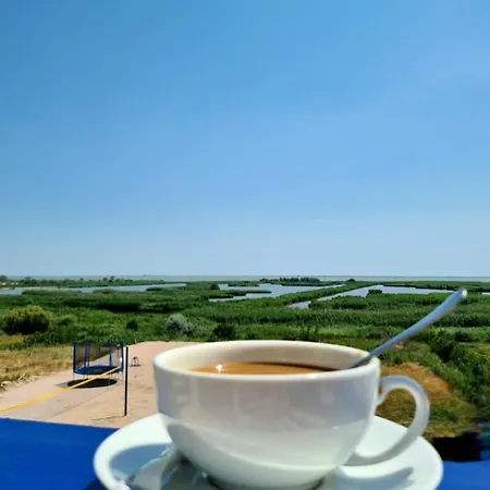 Agropensiunea Paradisul 4* جوريلوفكا