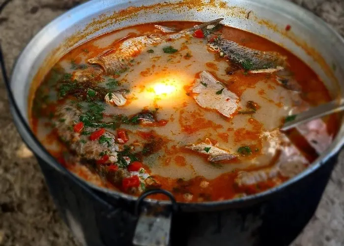 Guest house Agropensiunea Paradisul 4*